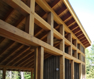 build green timber frame project by David Coulson Design