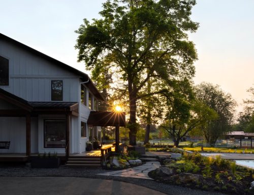 Modern Farmhouse