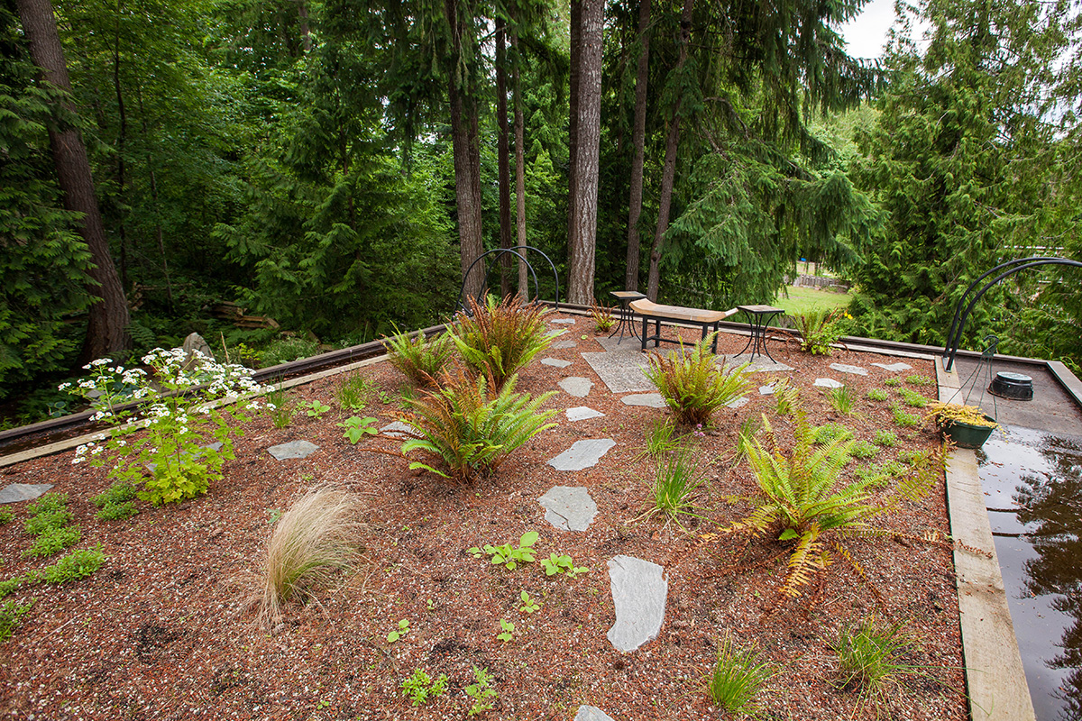 Dave’s Modern Japanesque Studio 17