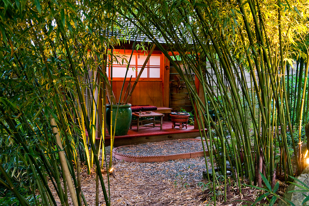 Dave’s Modern Japanesque Studio 20